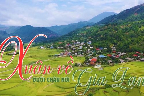 Xuân về dưới chân núi Gia Lan