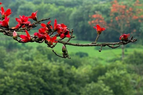 Quà tháng Ba tặng Mẹ