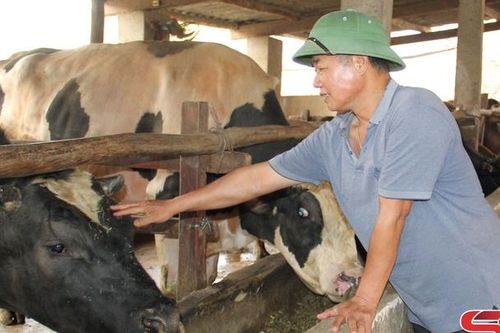 Thi đua lao động giỏi, làm giàu trên quê hương