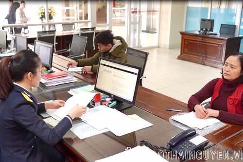 Triển khai Tháng đồng hành cùng người nộp thuế