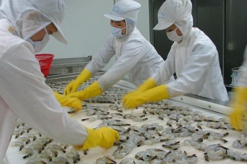 Thực phẩm Sao Ta (FMC): Doanh thu 2 tháng đầu năm tăng trưởng tích cực