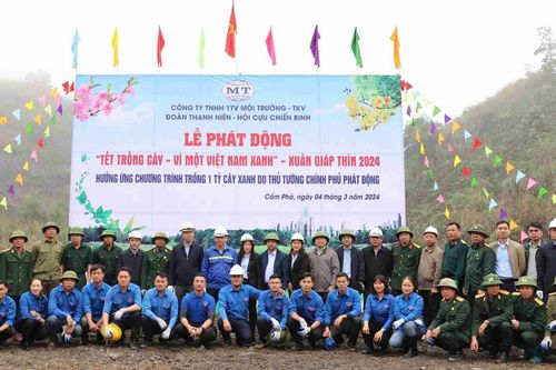 Công ty Môi trường - TKV tổ chức phát động Tết trồng cây năm 2024