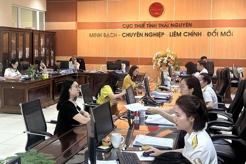 Cục Thuế tỉnh Thái Nguyên triển khai 'Tháng đồng hành cùng người nộp thuế thực hiện quyết toán thuế'