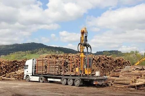 Việt Nam - Hoa Kỳ: Thiết lập khung pháp lý quản lý rủi ro, chống buôn bán gỗ trái phép