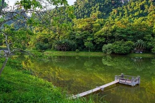 Phê duyệt Đề án phát triển giá trị đa dụng của hệ sinh thái rừng