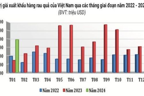 Trung Quốc tăng mua rau quả từ Việt Nam
