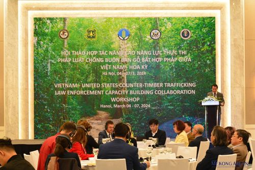 Hoa Kỳ cam kết đồng hành với Việt Nam trong việc duy trì nguồn gỗ hợp pháp