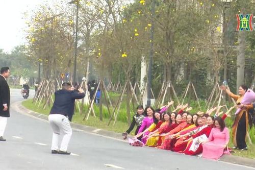 Tuyến đường vàng rực hoa phong linh
