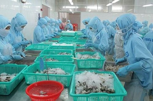 Doanh số tháng 2 của Thực phẩm Sao Ta (FMC) giảm 16% so với cùng kỳ