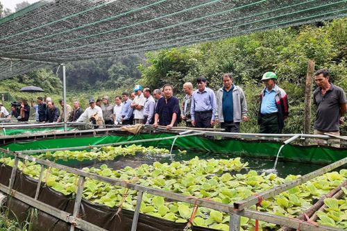 Góp phần phát triển nông nghiệp, xây dựng nông thôn mới