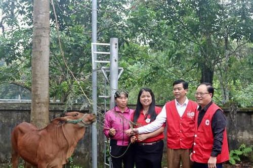 Bền bỉ kết nối nhịp cầu an sinh