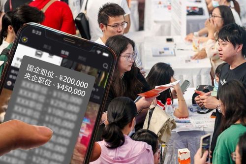 Không tìm được việc, giới trẻ Trung Quốc sập bẫy lừa đảo tư vấn