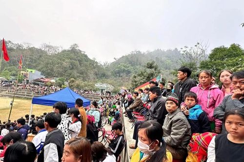 Hàng ngàn người xem chọi bò ở Bảo Lâm