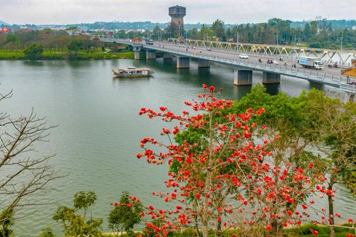 Đẹp nao lòng sắc hoa gạo đỏ rực giữa Cố đô Huế