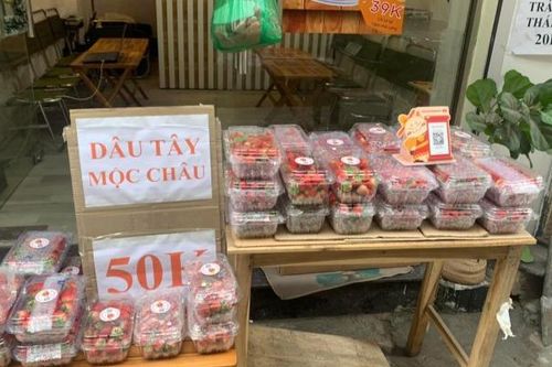 Dâu tây Sơn La đổ bộ xuống phố, giá rẻ siêu đắt khách