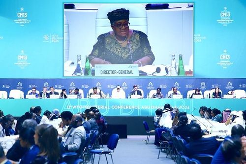 Kết nạp Đông Timor, WTO chính thức có 166 thành viên