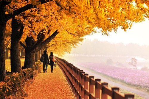 Ở hai đầu nghịch cảnh