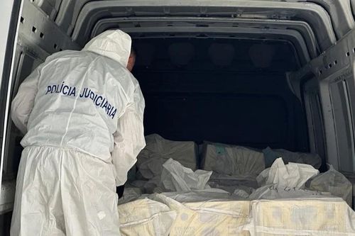 Phát hiện hơn 1,3 tấn cocaine giấu trong cá đông lạnh tại Bồ Đào Nha