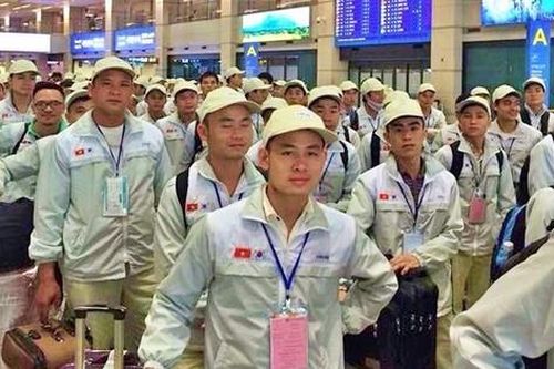 Hơn 17.000 người Việt sang Nhật làm việc trong 2 tháng