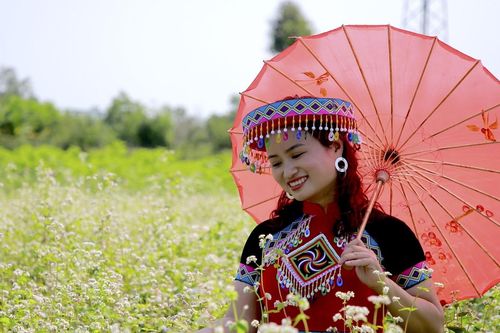 Giới trẻ Quảng Nam thả dáng bên 'rừng' tam giác mạch, ngỡ mình lạc đến Hà Giang