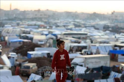 Hệ quả đối với an ninh toàn cầu nếu thiếu nguồn tài trợ cho Dải Gaza