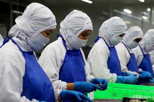 Hơn 176,7 triệu USD đầu tư vào khu công nghiệp ở Thành phố Hồ Chí Minh