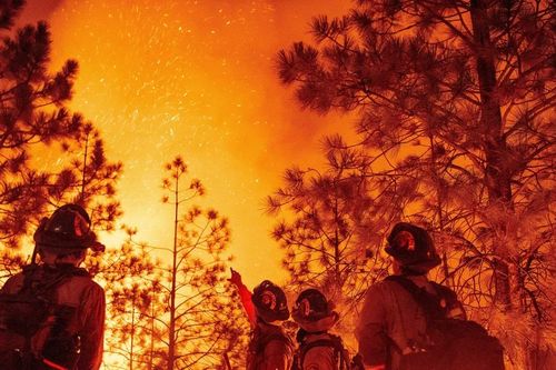 Nga: Cháy rừng đe dọa các khu bảo tồn thiên nhiên tại Vùng Primorye