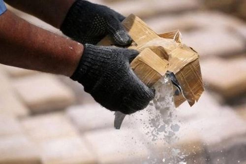 Giấu hơn 1,3 tấn cocaine trong cá đông lạnh