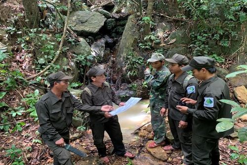 800 chủ rừng ở Huế đã nhận gần 35 tỷ tiền giảm phát thải khí nhà kính