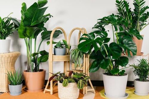 Những lỗi phong thủy nhà ở nhất định phải biết để tránh không gặp đại họa, đón may mắn, tài lộc cho gia đình
