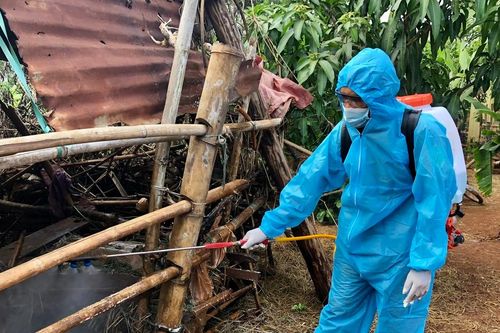 Tập trung triển khai phòng-chống dịch bệnh động vật trên cạn và thủy sản