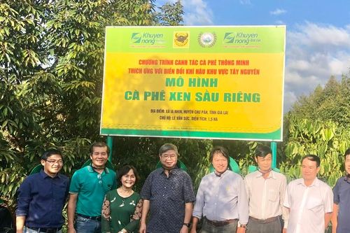Triển vọng mô hình canh tác cà phê thông minh thích ứng với biến đổi khí hậu