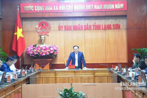 Họp Ban Chỉ đạo giải quyết tranh chấp đất đai có nguồn gốc từ các công ty lâm nghiệp