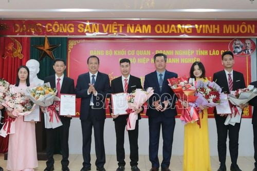 Chi bộ Hiệp hội Doanh nghiệp tỉnh kết nạp mới 6 đảng viên