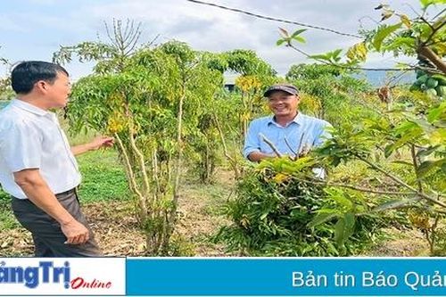 Hiệu quả từ mô hình vườn mẫu ở Tân Thành