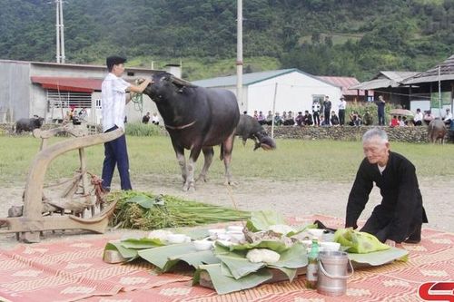 Lễ cúng vía trâu của dân tộc Thái