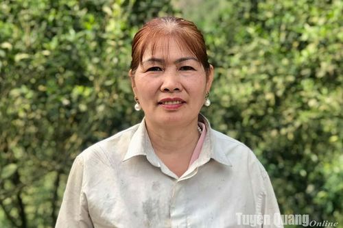 Nuôi gà an toàn sinh học từ Youtube
