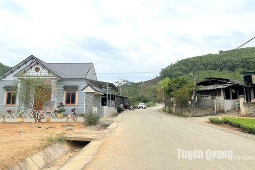 Sức sống mới Minh Thanh