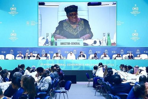 MC 13 WTO: Quyết định không đánh thuế hải quan đối với truyền tải điện tử
