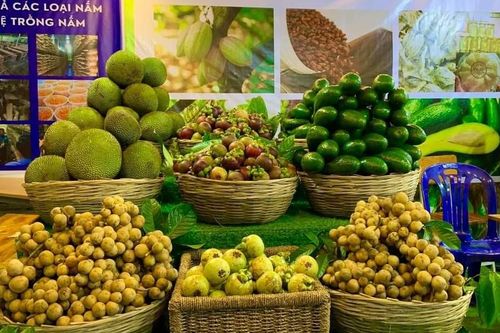 TP. Hồ Chí Minh: Hướng mục tiêu vào phát triển xuất khẩu xanh, bền vững