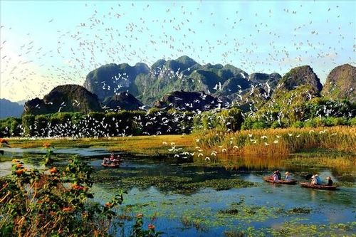 Hơn 100 nhà khoa học cùng giải bài toán ô nhiễm tại Việt Nam