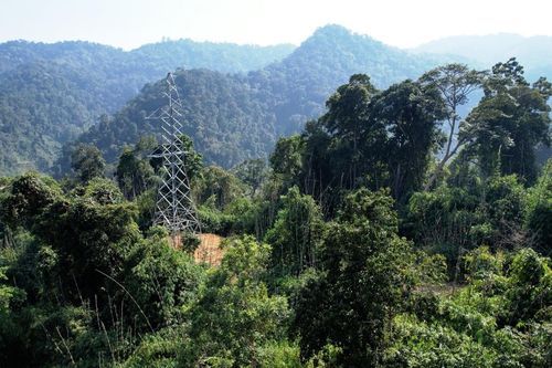 Vụ phá rừng làm đường dây 110 kV: Chủ đầu tư thủy điện xin trồng rừng phục hồi