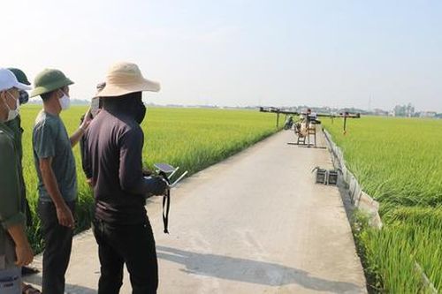 Làn gió mới từ nông nghiệp công nghệ cao, đưa nông dân Thái Bình bay cao