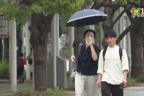 Tỷ lệ thất nghiệp tại Nhật Bản đã giảm nhẹ