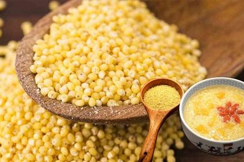 Những đồ ăn dưỡng tỳ vị tốt cho người bệnh dạ dày