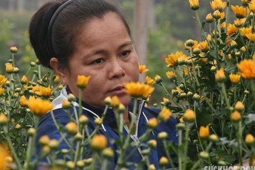 Món quà đặc biệt dành tặng người mẹ nông dân nhân dịp Quốc tế Phụ nữ 8/3 của cô sinh viên y khoa