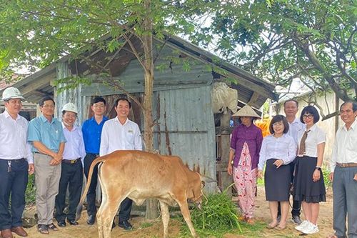 Phú Yên: Tặng bò giống cho 2 phụ nữ có hoàn cảnh khó khăn