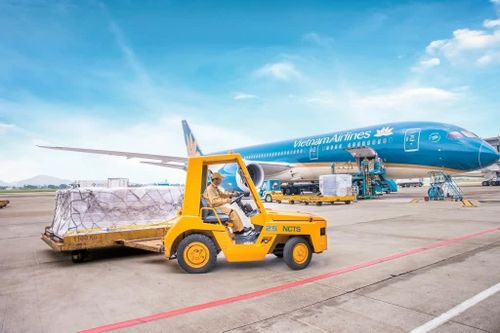 Khoản đầu tư lợi suất gấp 23 lần sau 10 năm của Nasco