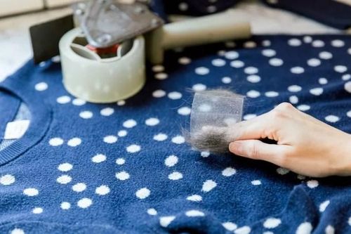 Cách làm sạch lông chó mèo trên quần áo, chăn ga mà không cần giặt