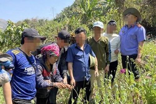 Tạm giữ hình sự đối tượng trồng cây thuốc phiện trái phép giữa rừng sâu tại Lai Châu
